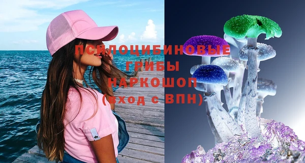 бошки Вяземский