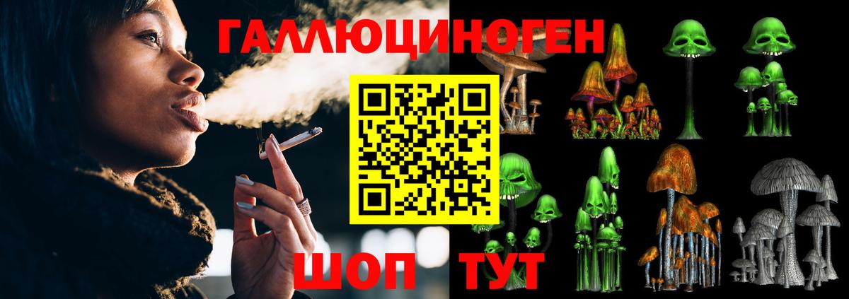 Галлюциногенные грибы Psilocybine cubensis  Вход с VPN  Усть-Илимск 